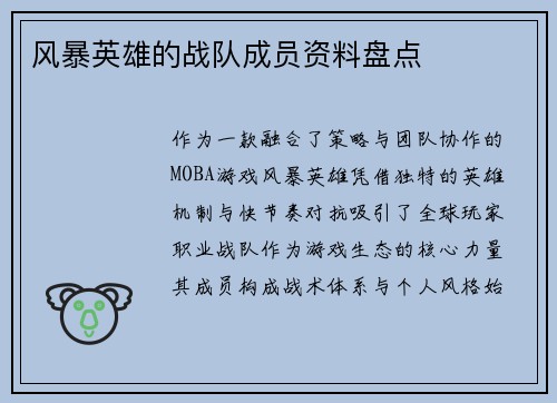 风暴英雄的战队成员资料盘点