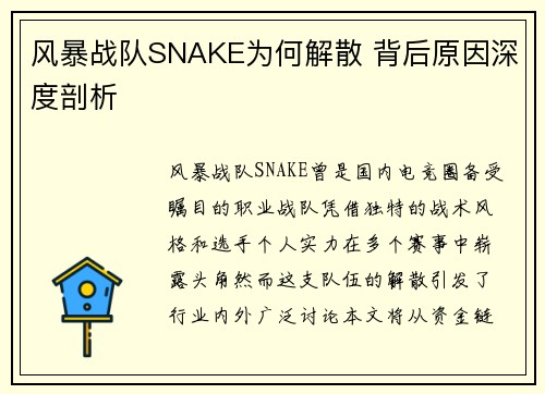 风暴战队SNAKE为何解散 背后原因深度剖析