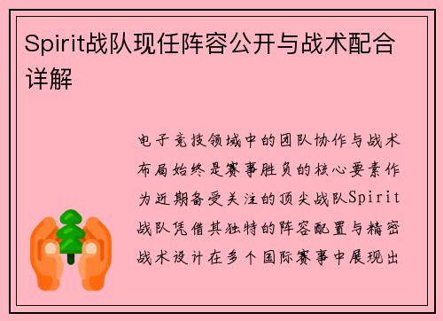 Spirit战队现任阵容公开与战术配合详解